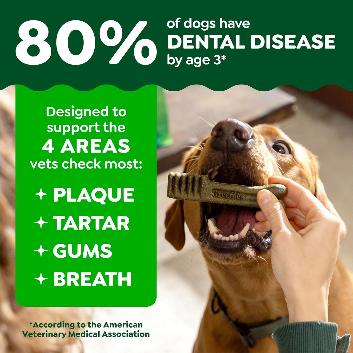 Greenies Veterinarian-Recommended Adult Natural Dental Dog Treats Large Size, Dog Dental Chews, Original Flavor, 6 Oz. Pack, 4 Count