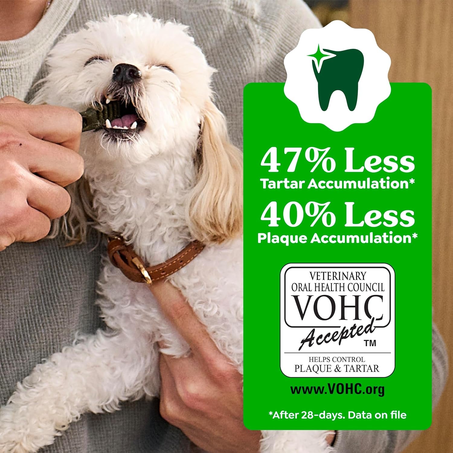 Greenies Veterinarian-Recommended Adult Natural Dental Dog Treats Large Size, Dog Dental Chews, Original Flavor, 6 Oz. Pack, 4 Count
