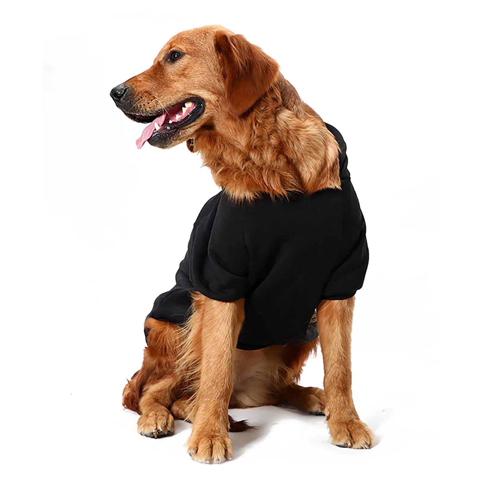 Large and Small Dog Sweaters