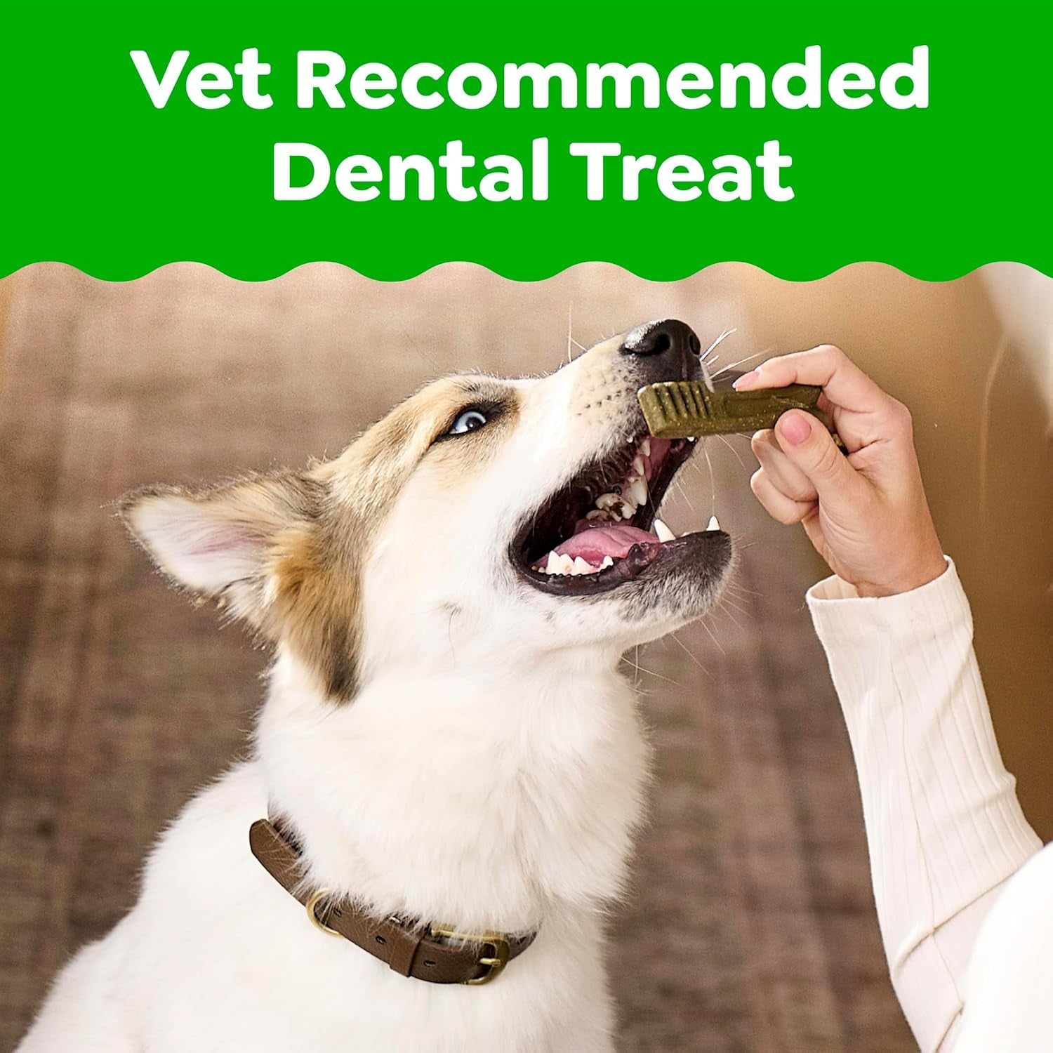 Greenies Veterinarian-Recommended Adult Natural Dental Dog Treats Large Size, Dog Dental Chews, Original Flavor, 6 Oz. Pack, 4 Count
