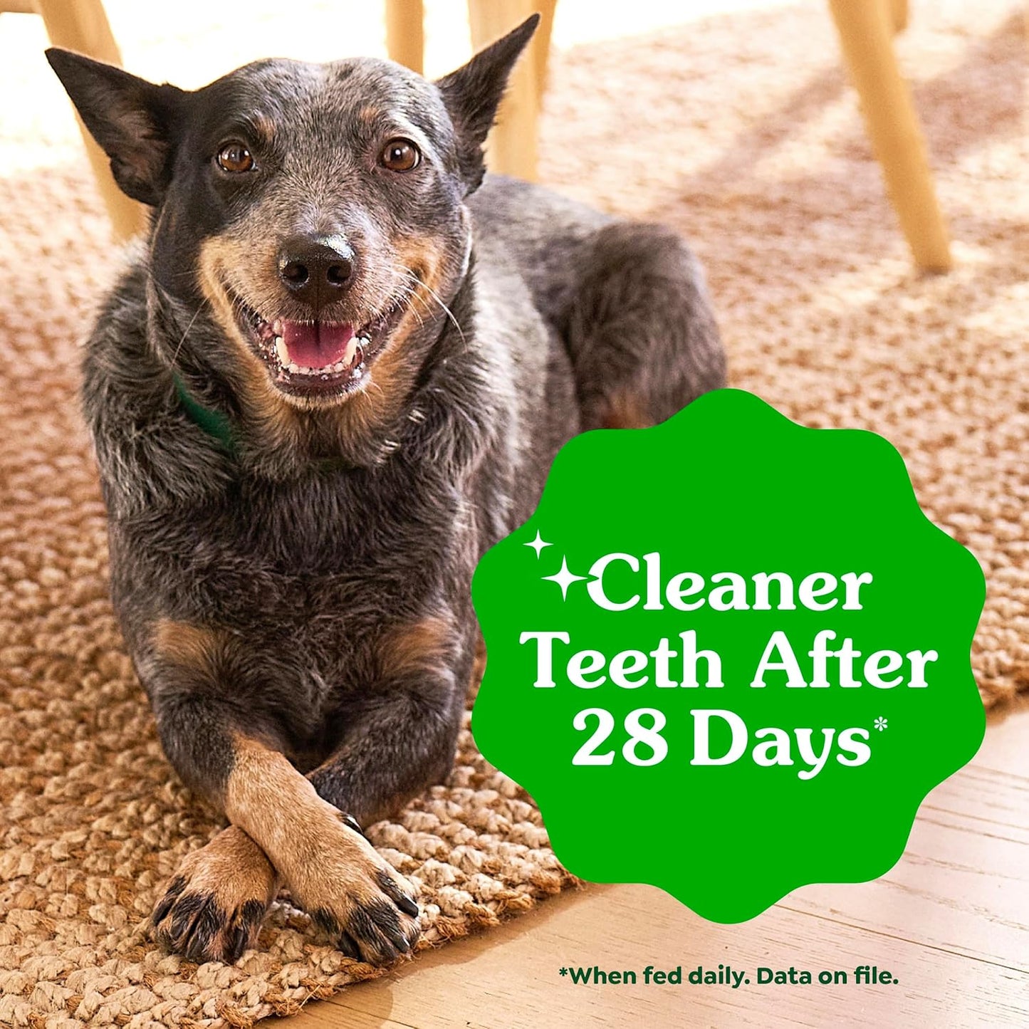 Greenies Veterinarian-Recommended Adult Natural Dental Dog Treats Large Size, Dog Dental Chews, Original Flavor, 6 Oz. Pack, 4 Count